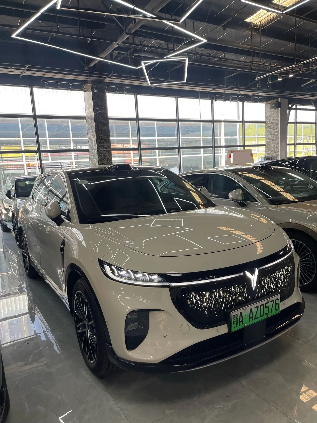 Voyah 2025 bosom friend four-wheel drive dry Kun version automatic gear 2