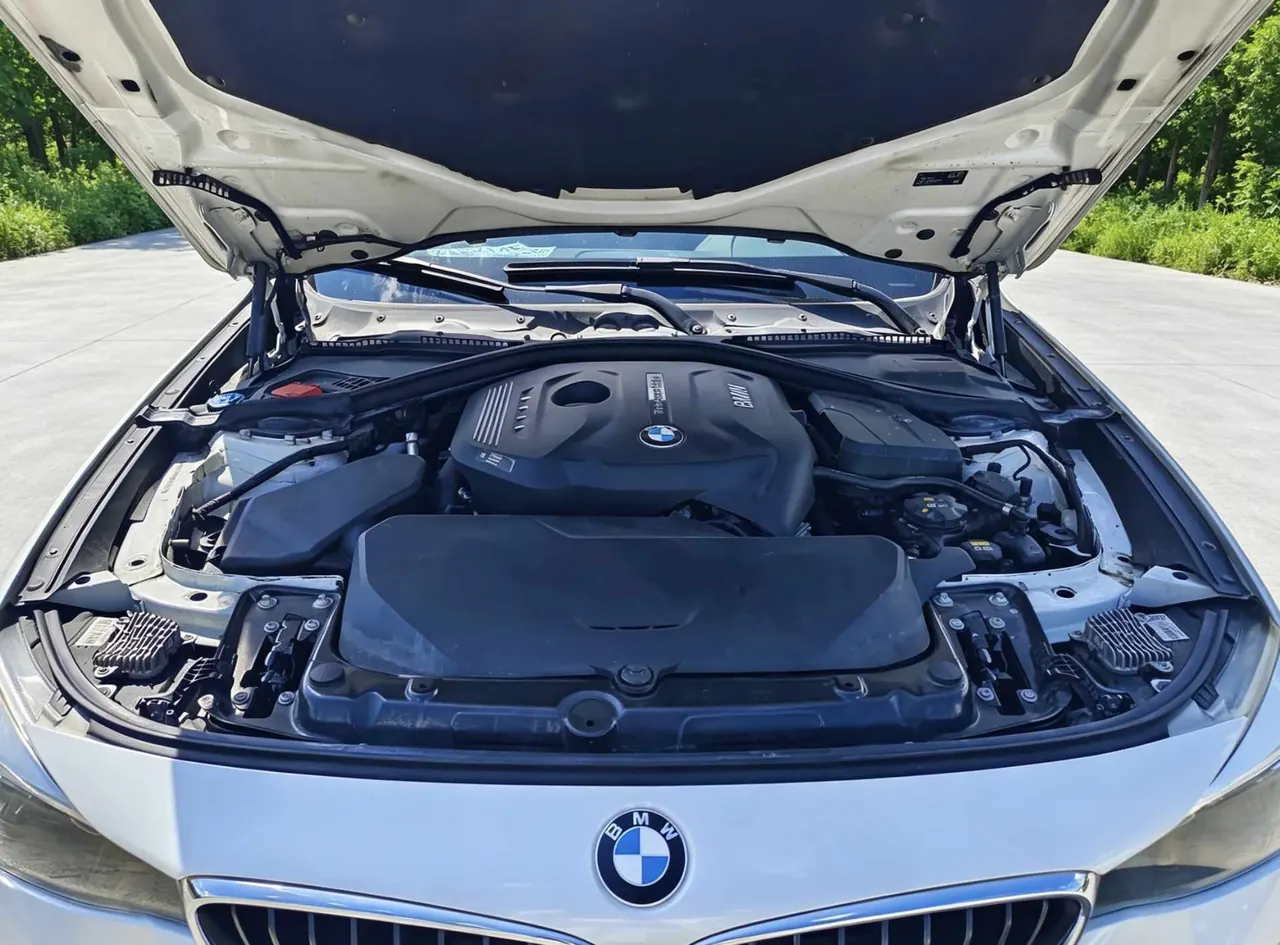 BMW 3 Series GT (Imported) 2020 GT 320i 2.0T M Sports Suit Automatic Gear 9