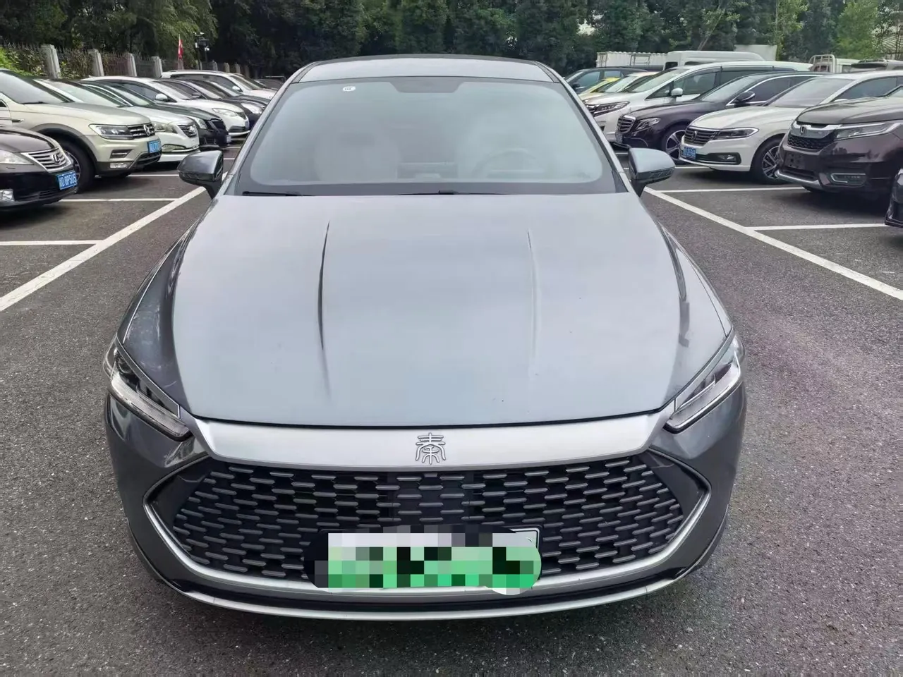BYD 2023 Qin PLUS EV 420KM Champion Edition Leading Automatic Gear 2