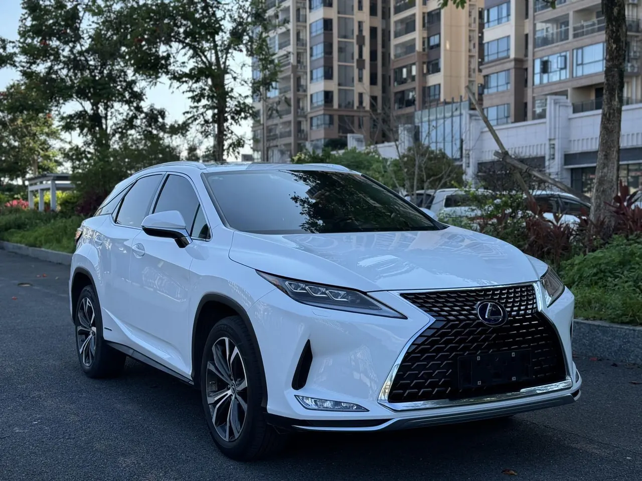 Lexus RX (Imported) 2020 RX450h 3.5 Stepless Four-wheel Drive Elegant Automatic Gear 2