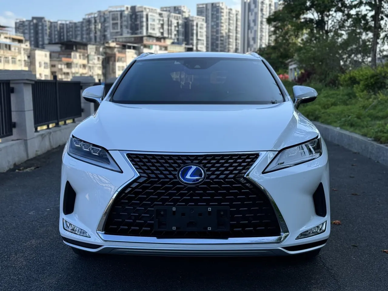 Lexus RX (Imported) 2020 RX450h 3.5 Stepless Four-wheel Drive Elegant Automatic Gear 3