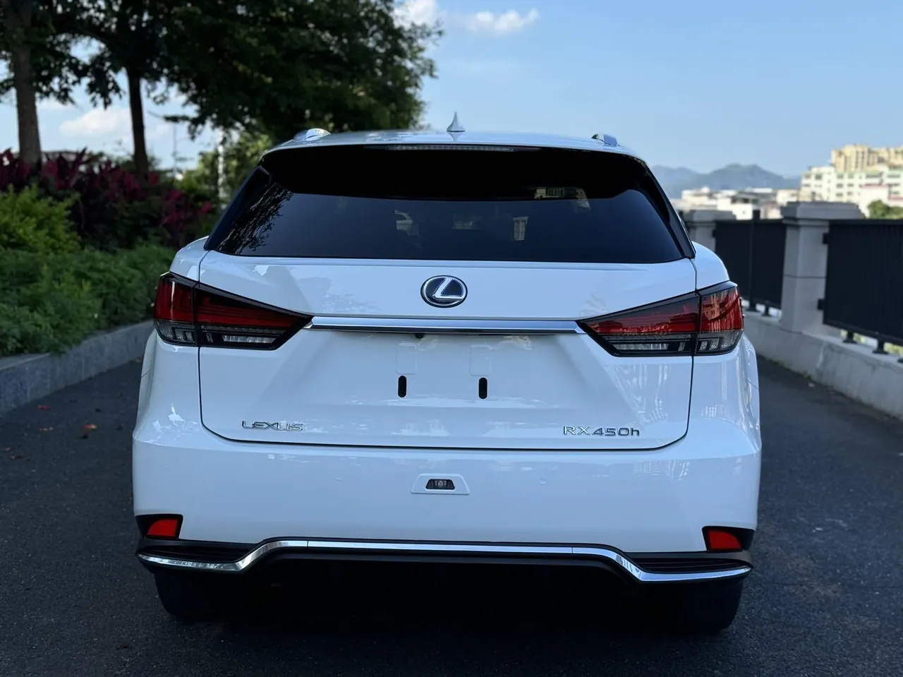 Lexus RX (Imported) 2020 RX450h 3.5 Stepless Four-wheel Drive Elegant Automatic Gear 8