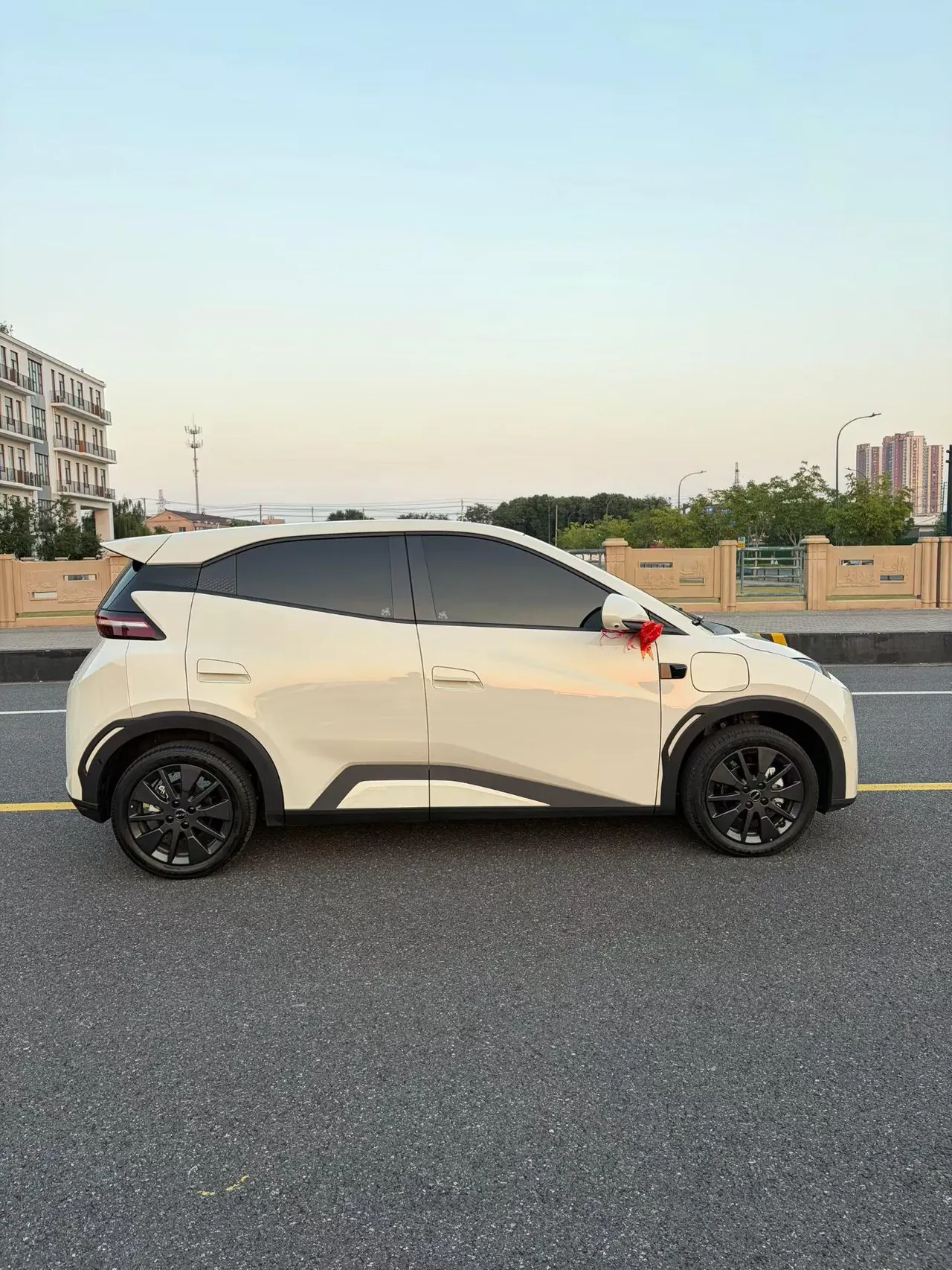 BYD 2026 seagulls 305km free version automatic gear 2