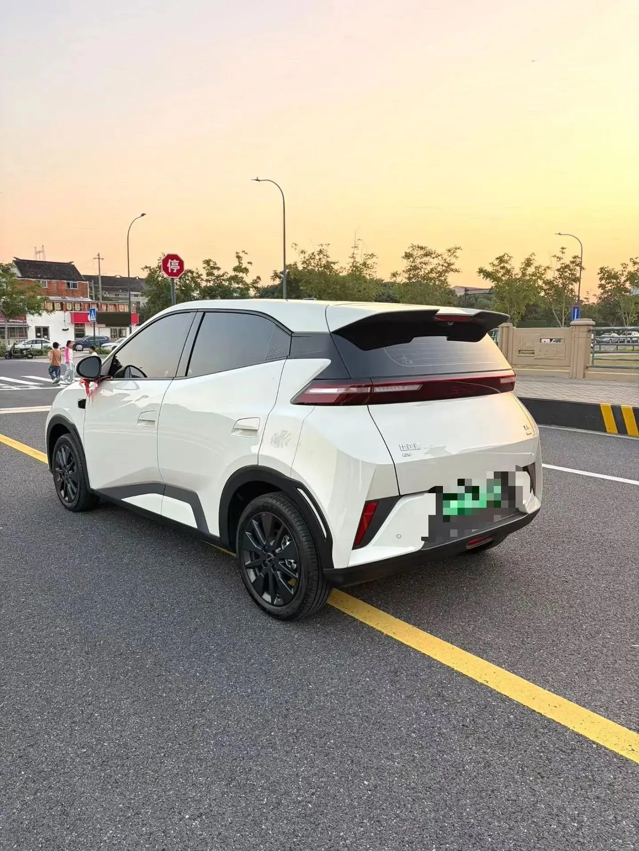 BYD 2026 seagulls 305km free version automatic gear 4