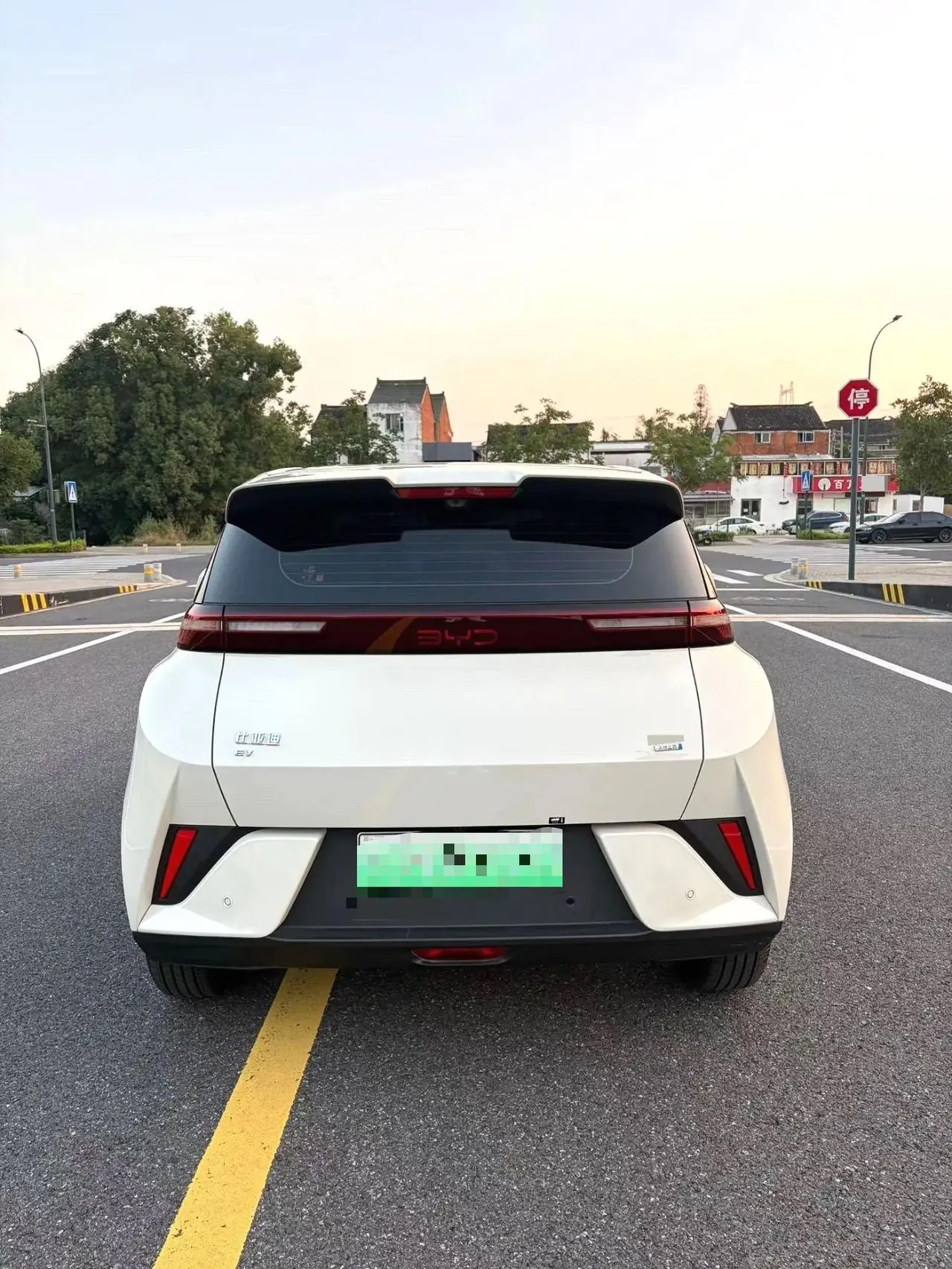BYD 2026 seagulls 305km free version automatic gear 5