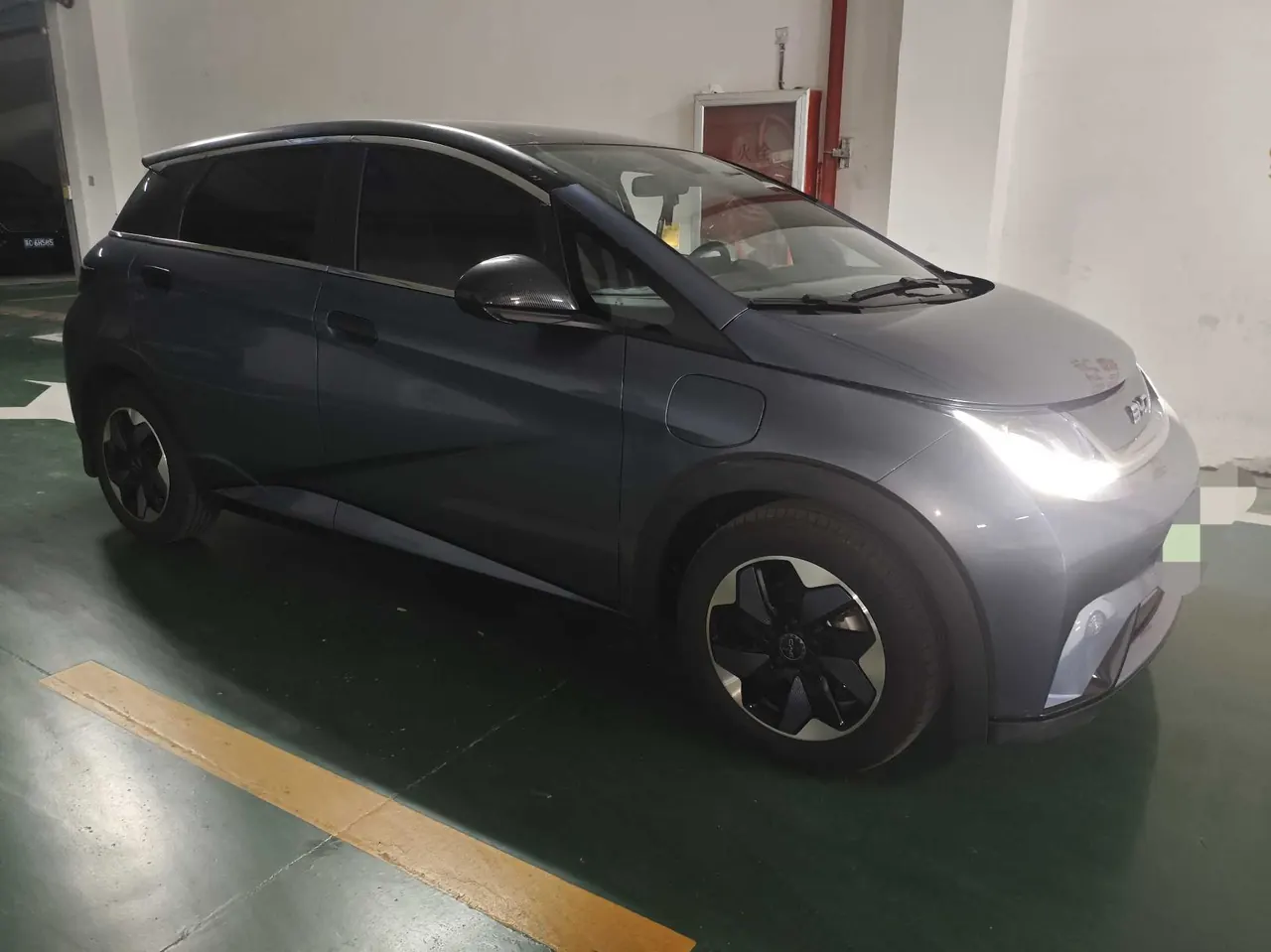 BYD 2024 Dolphin Glory 420km Free Automatic 2