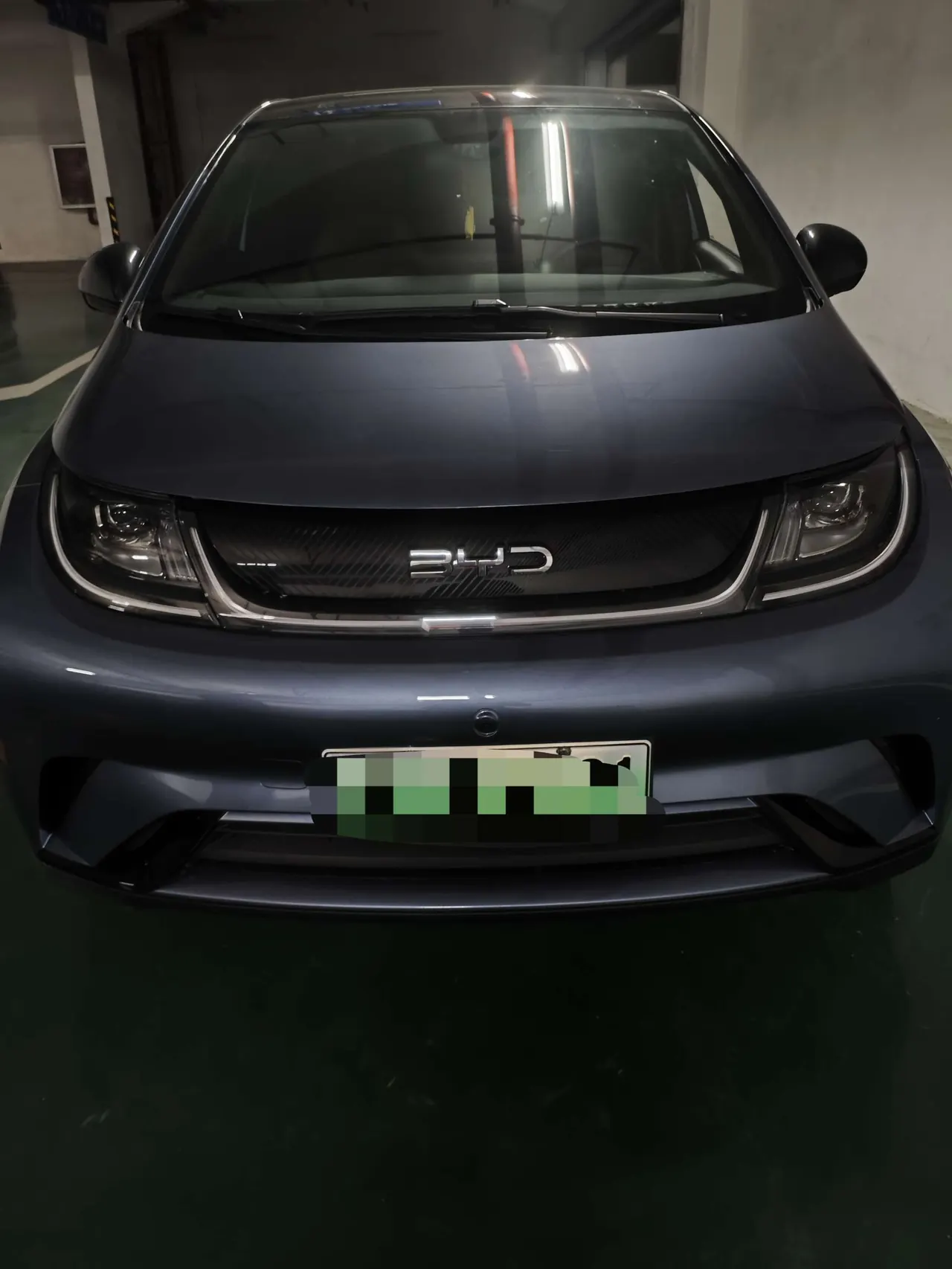 BYD 2024 Dolphin Glory 420km Free Automatic 4