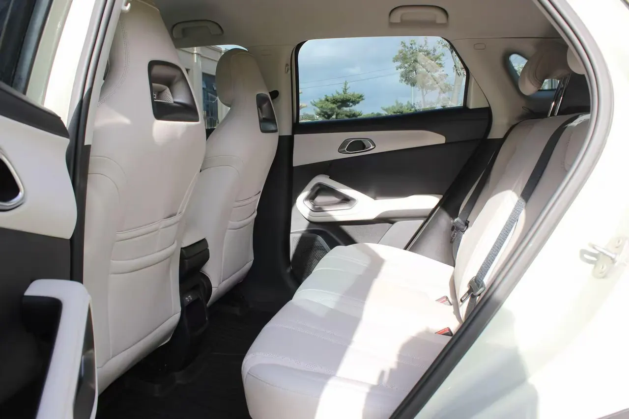 BYD 2024 Yuan UP 401KM Vital Edition Automatic Gear 5