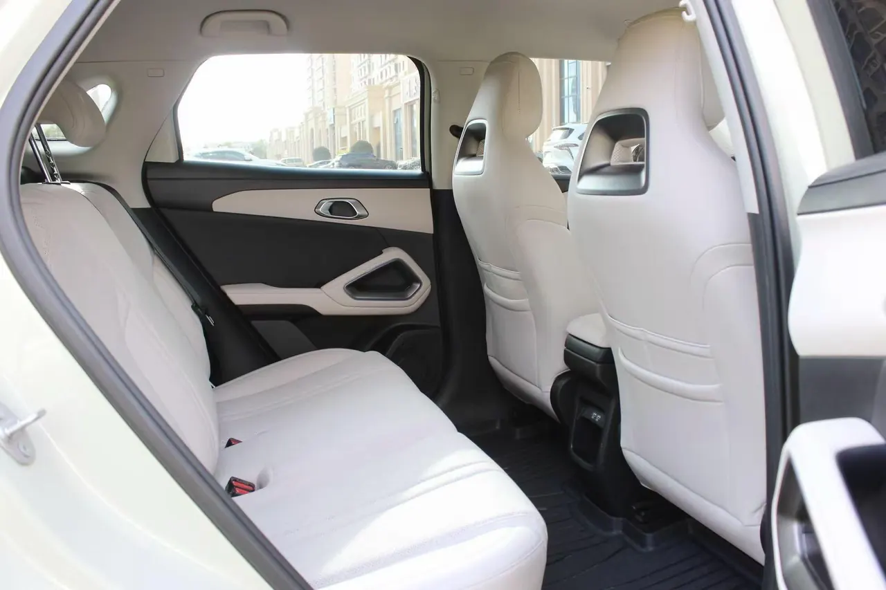 BYD 2024 Yuan UP 401KM Vital Edition Automatic Gear 7