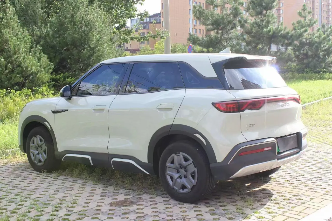 BYD 2024 Yuan UP 401KM Vital Edition Automatic Gear 8