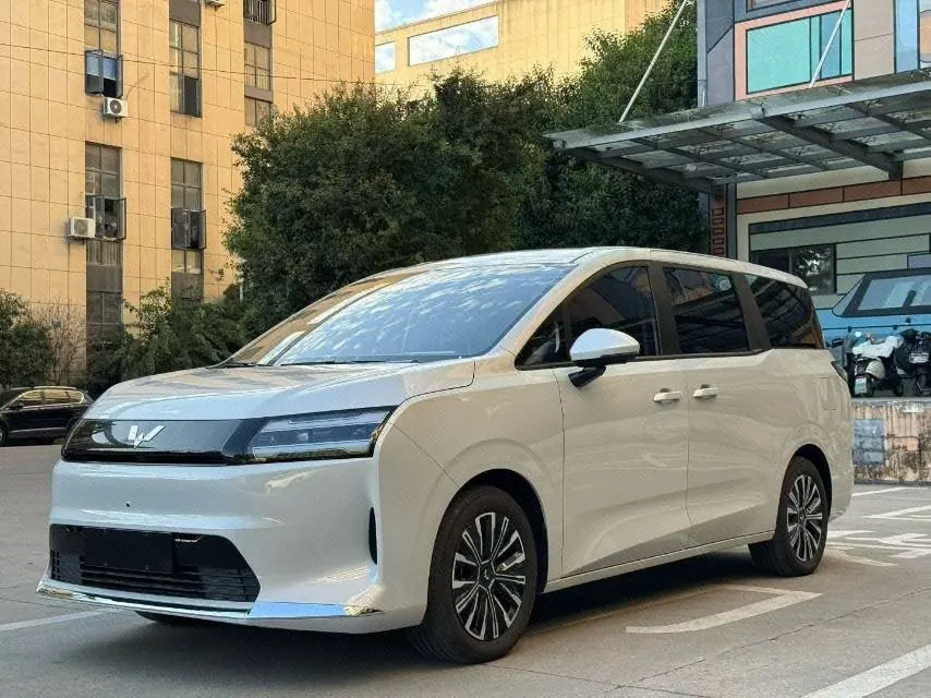 WuLing 2025 Starlight 730 500km Luxury Automatic Gear - View 1