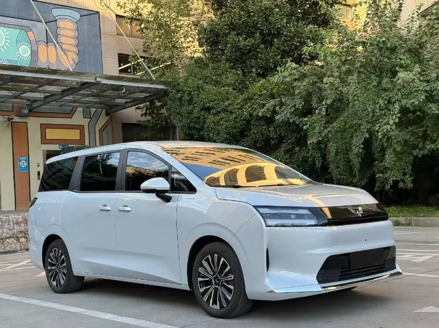 WuLing 2025 Starlight 730 500km Luxury Automatic Gear 3