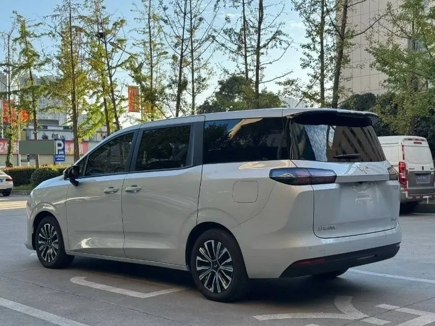 WuLing 2025 Starlight 730 500km Luxury Automatic Gear 9