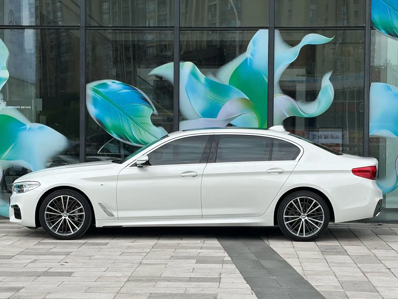 BMW 5 Series 2020 530Li 2.0T Premium Luxury Suit Automatic Gear 9