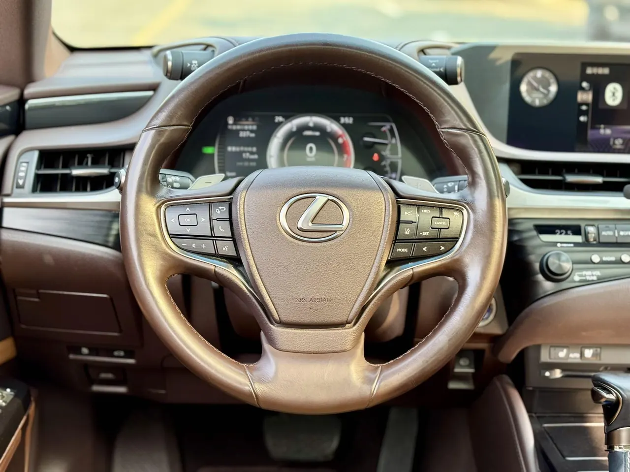 Lexus ES (Imported) 2020 ES300h 2.5 Stepless Excellence Edition Automatic Gear 5