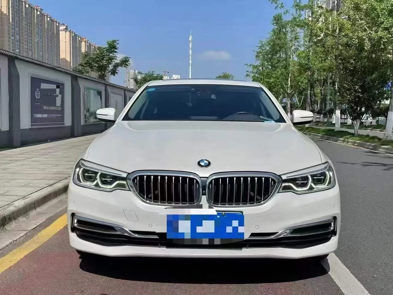 BMW 5 Series 2020 530Li 2.0T Premium Luxury Suit Automatic Gear 3