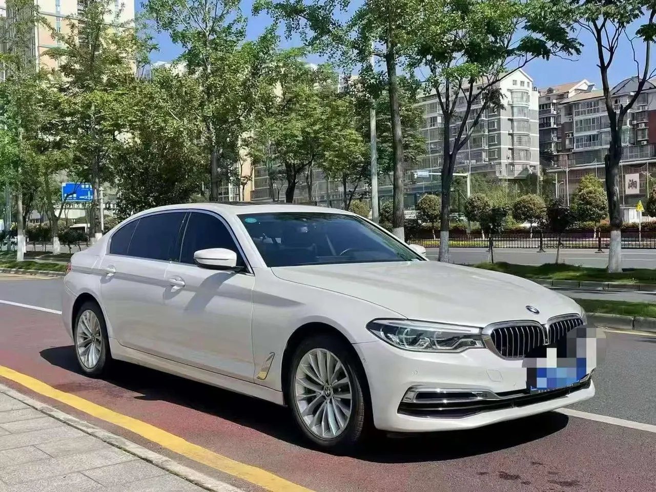 BMW 5 Series 2020 530Li 2.0T Premium Luxury Suit Automatic Gear 4