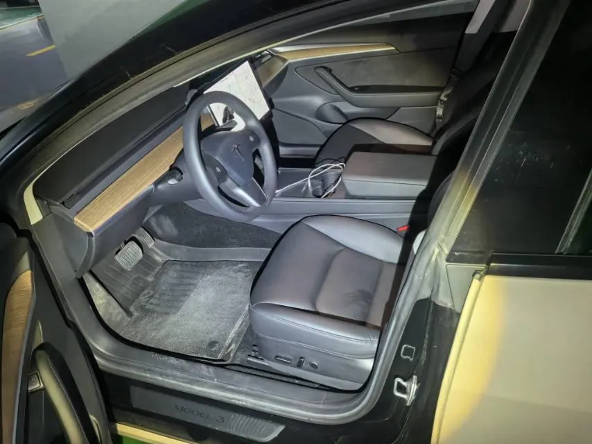 Tesla 2021 Model 3 Standard Endurance Rear Drive Upgraded Automatic Gear 3