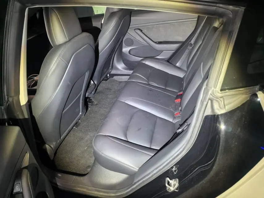 Tesla 2021 Model 3 Standard Endurance Rear Drive Upgraded Automatic Gear 4