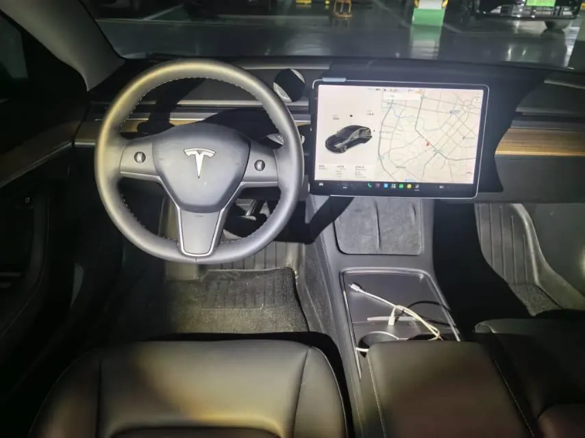 Tesla 2021 Model 3 Standard Endurance Rear Drive Upgraded Automatic Gear 5