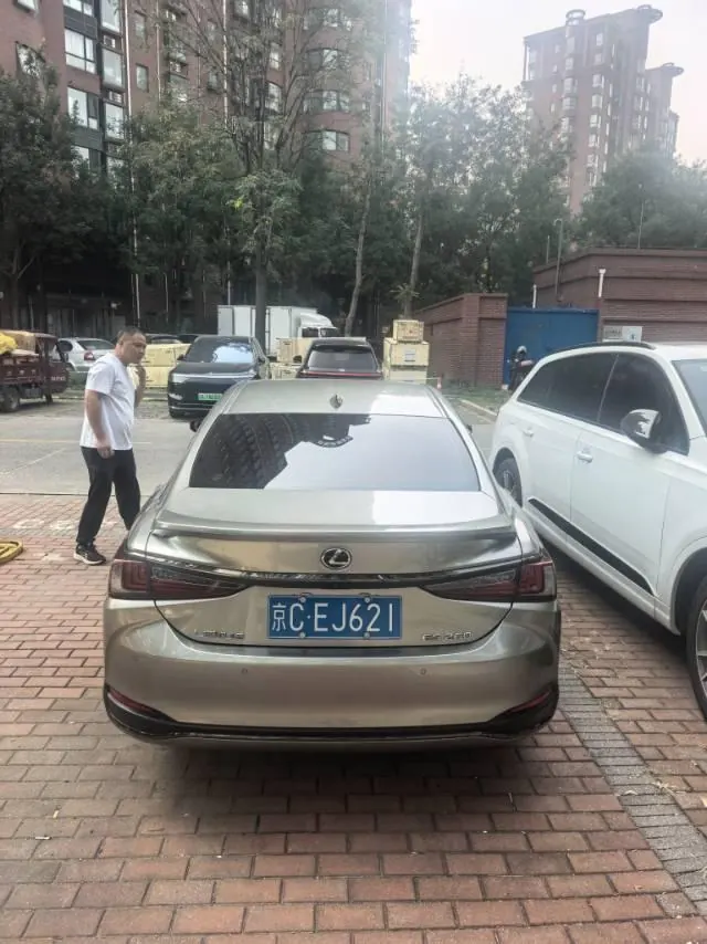 Lexus ES (Imported) 2020 ES260 F SPORT 2.5 Automatic Gear 7