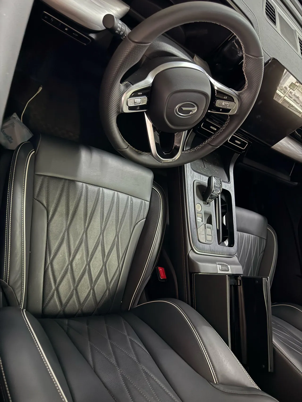 Trumpchi 2025 GS8 2.0TGDI Leading Series, Two-Wheel Drive Luxury Version, 5-Seater, Automatic Transmission 3
