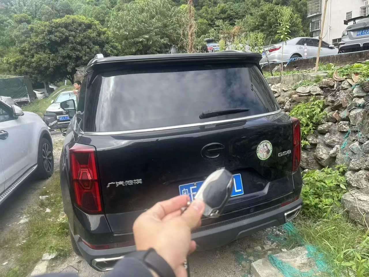 Trumpchi 2025 GS8 2.0TGDI Leading Series, Two-Wheel Drive Luxury Version, 5-Seater, Automatic Transmission 5