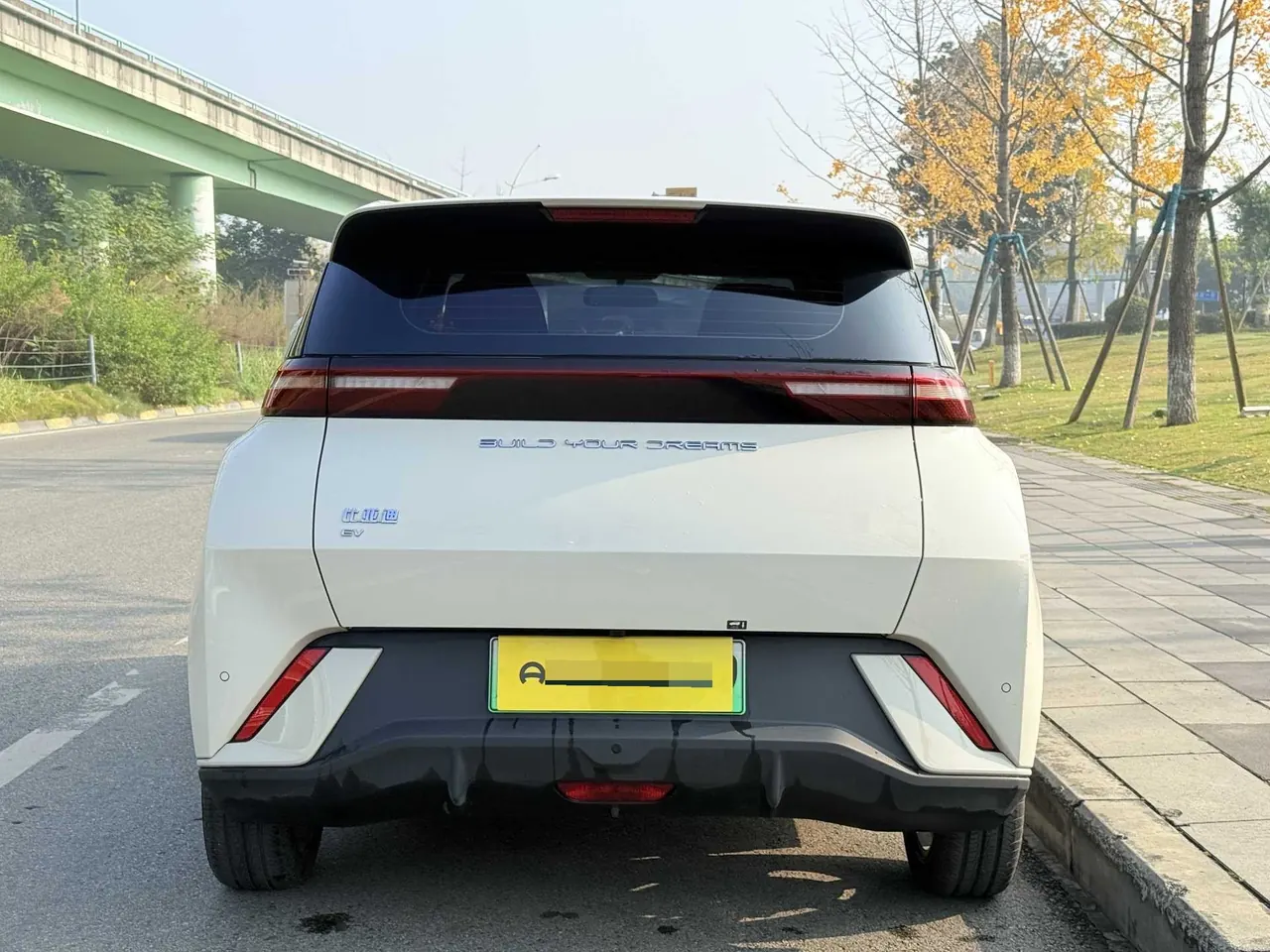 BYD 2024 Seagull Glory Edition 405km Flying Edition Automatic Gear 6
