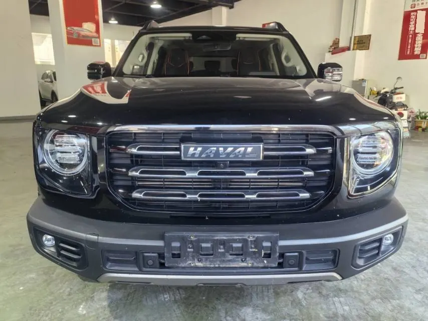 Haval 2021 Big Dogs 1.5T Border Animal Husbandry Wangcai Edition Automatic Gear 2