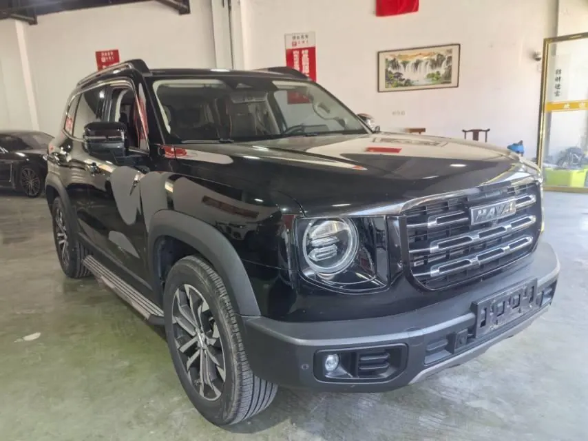 Haval 2021 Big Dogs 1.5T Border Animal Husbandry Wangcai Edition Automatic Gear 3