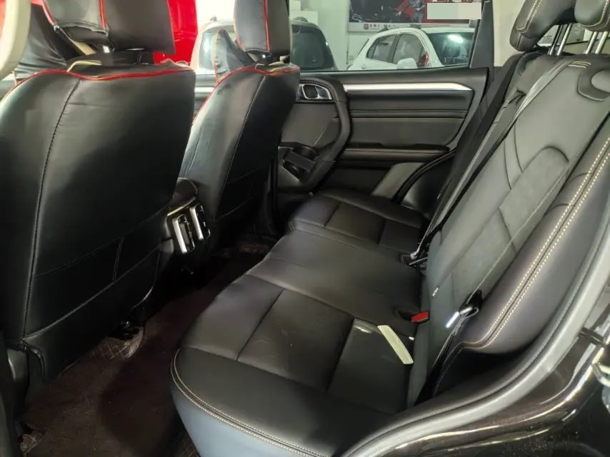 Haval 2021 Big Dogs 1.5T Border Animal Husbandry Wangcai Edition Automatic Gear 7