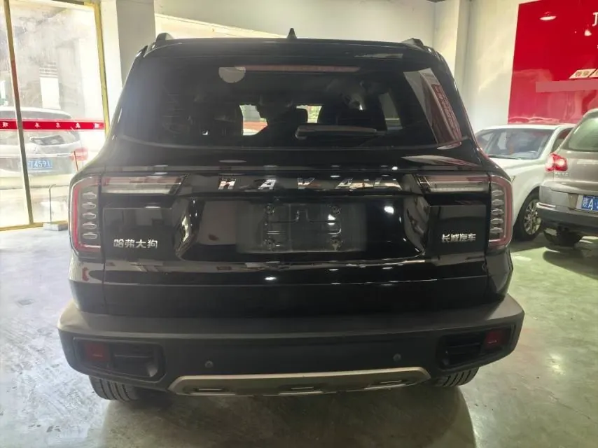 Haval 2021 Big Dogs 1.5T Border Animal Husbandry Wangcai Edition Automatic Gear 9