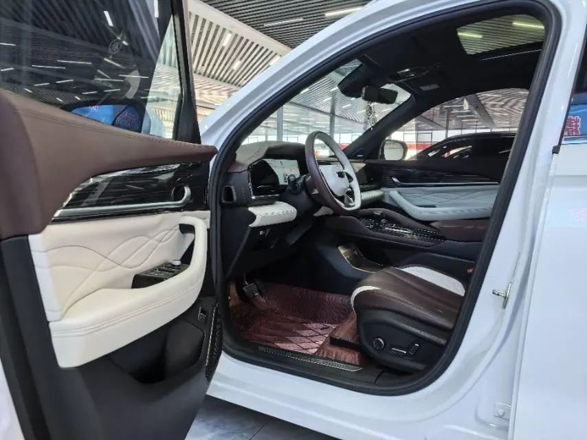 Geely 2021 XingyueL (Monjaro) 2.0TD EVO two-wheel drive smart automatic gear 4