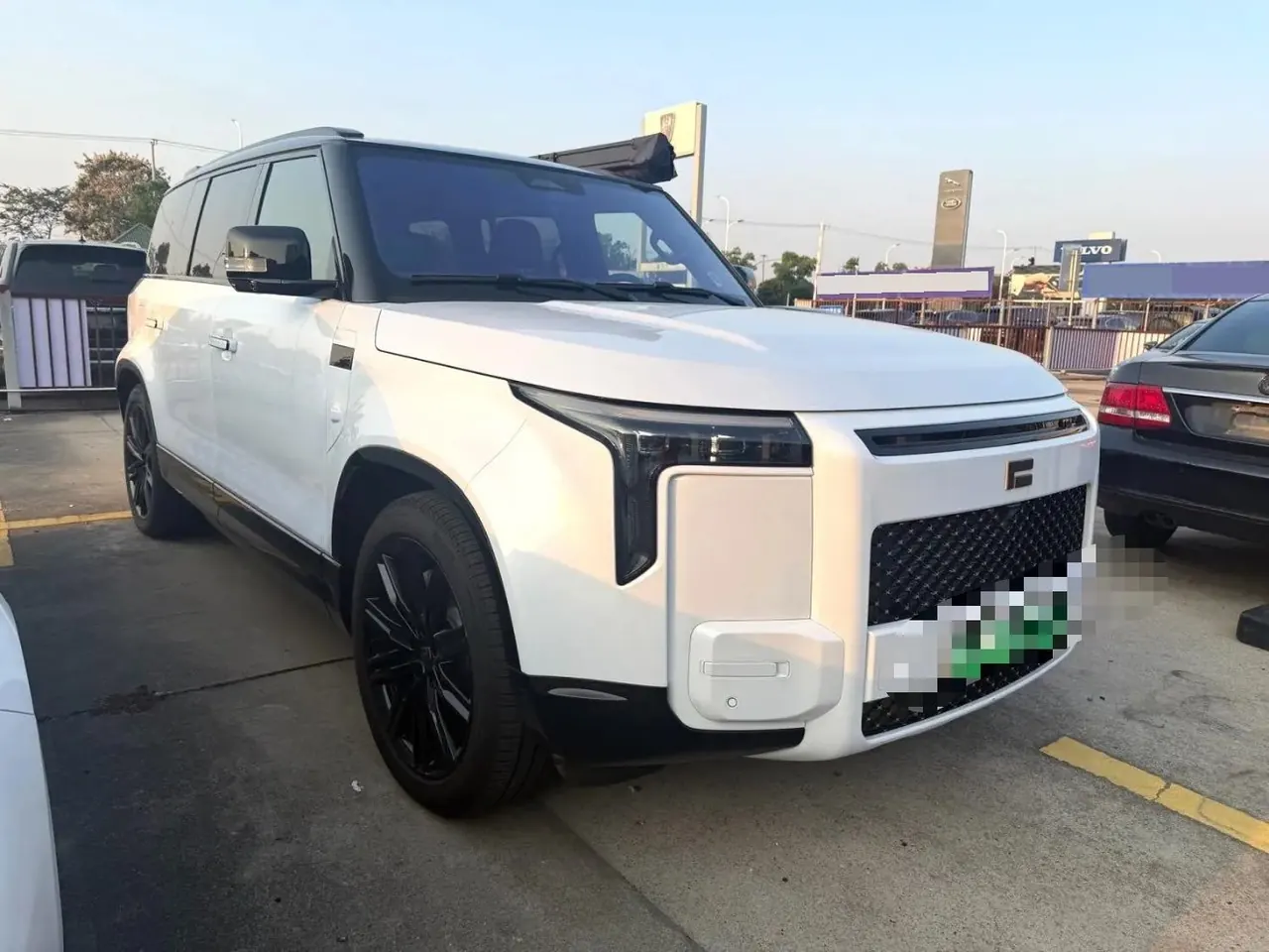 Polar Stone 2026 ADAMAS Deluxe Executive Edition 6-seat Automatic 3