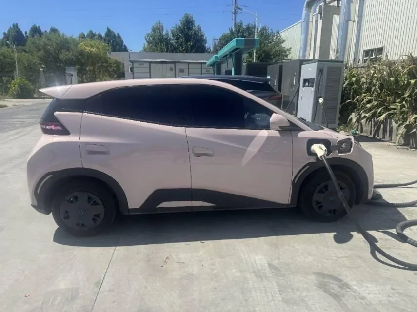 BYD 2025 seagulls 305km dynamic version of automatic gear 2