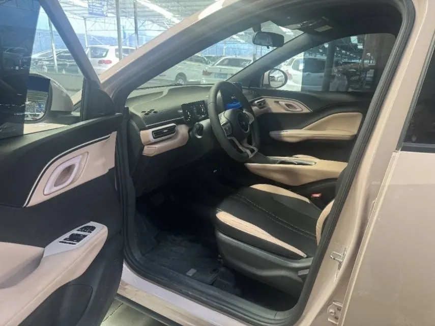 BYD 2025 seagulls 305km dynamic version of automatic gear 6