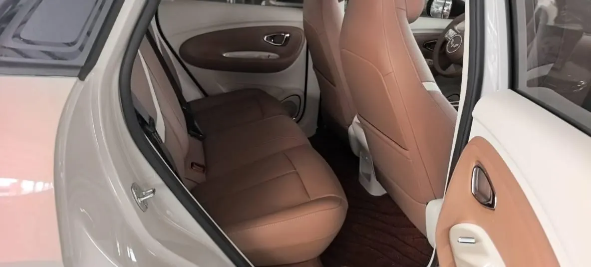 WuLing 2026 Plantronics Pro 330km Enjoy Automatic Gear 4