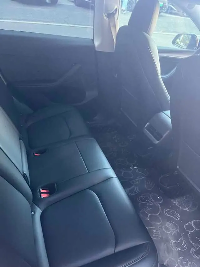 Tesla 2021 Model Y Standard Endurance Rear Drive Automatic Gear 4