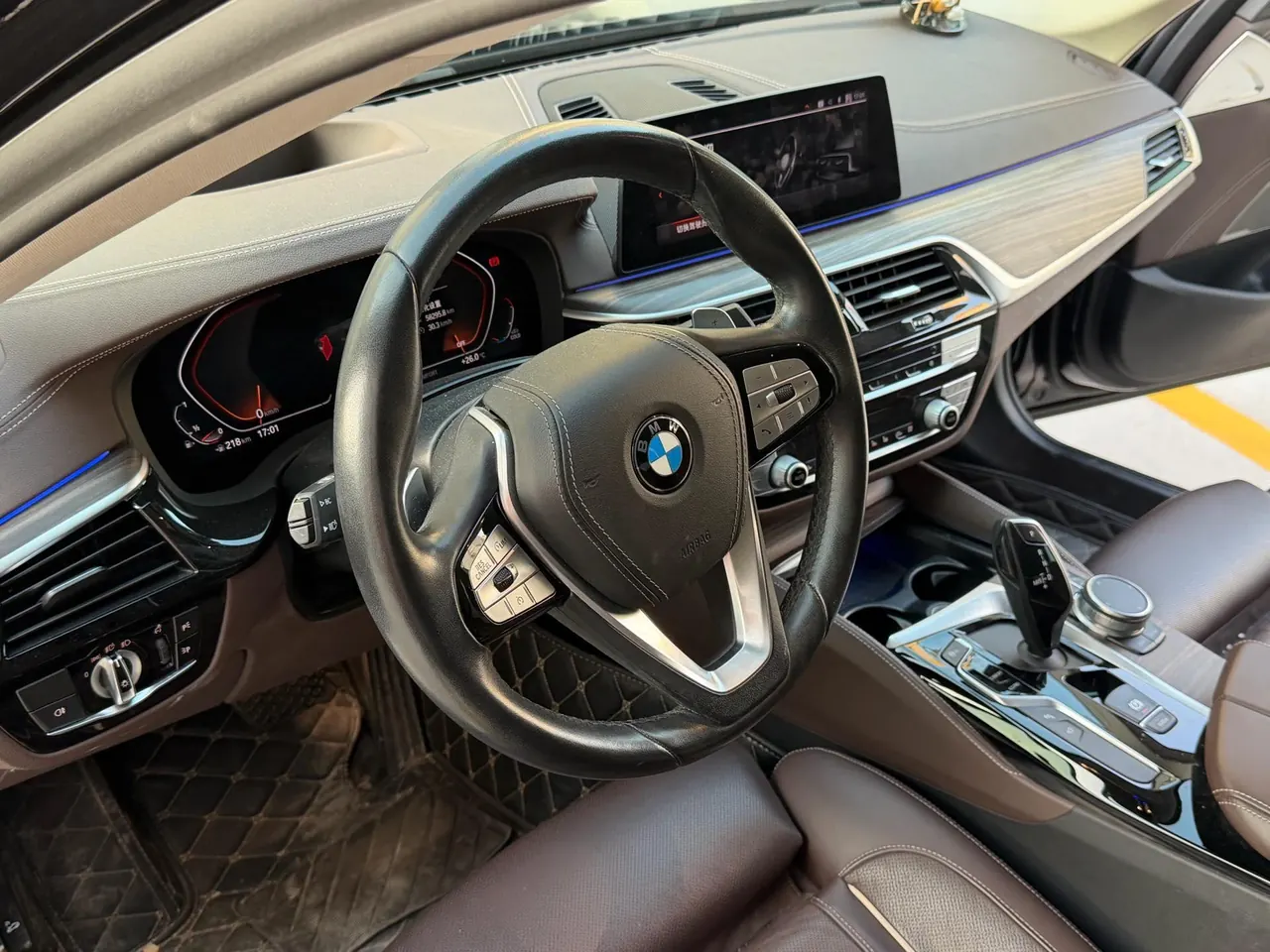 BMW 5 Series 2020 530Li 2.0T Premium Luxury Suit Automatic Gear 5