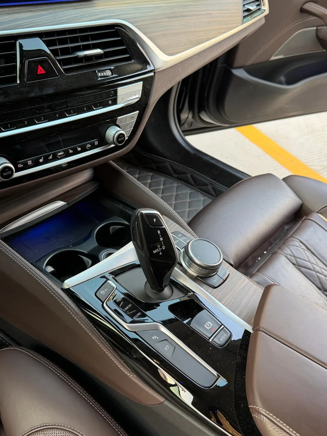 BMW 5 Series 2020 530Li 2.0T Premium Luxury Suit Automatic Gear 8