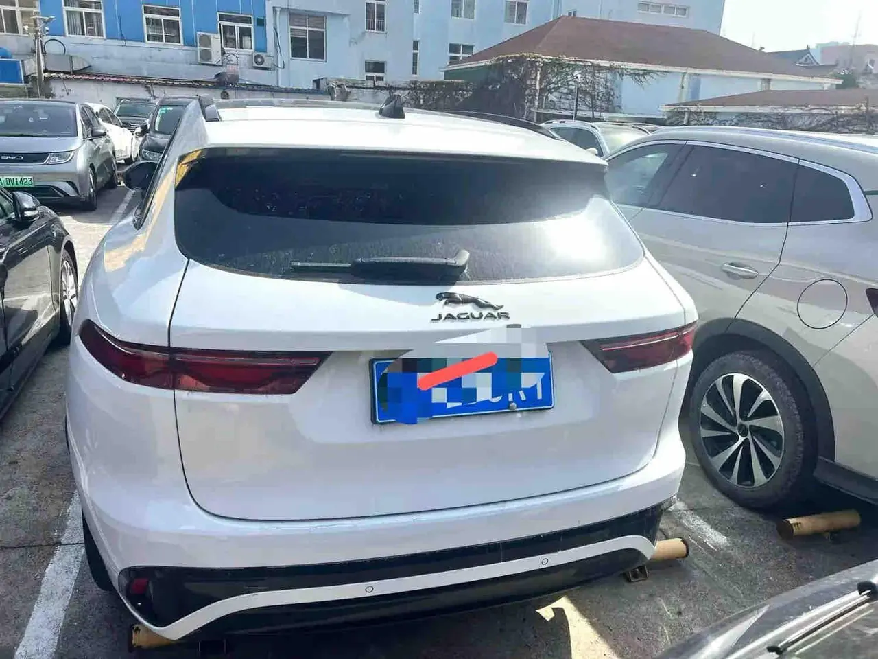 Jaguar F-PACE (Imported) 2024 F-PACE 2.0T P250 R-Dynamic SE Automatic Gear 2