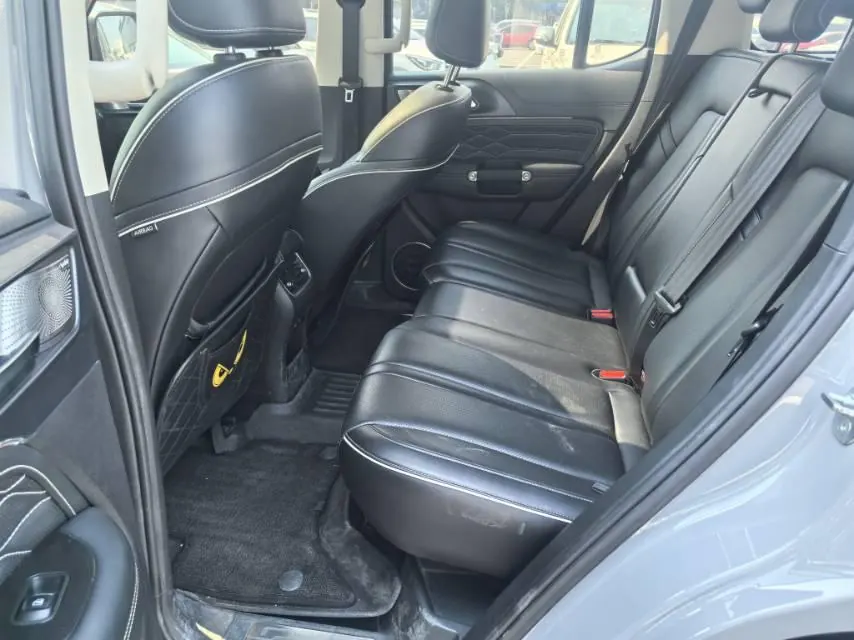 Tank 2021 Tank 300 2.0T Off-road Conqueror Automatic 3