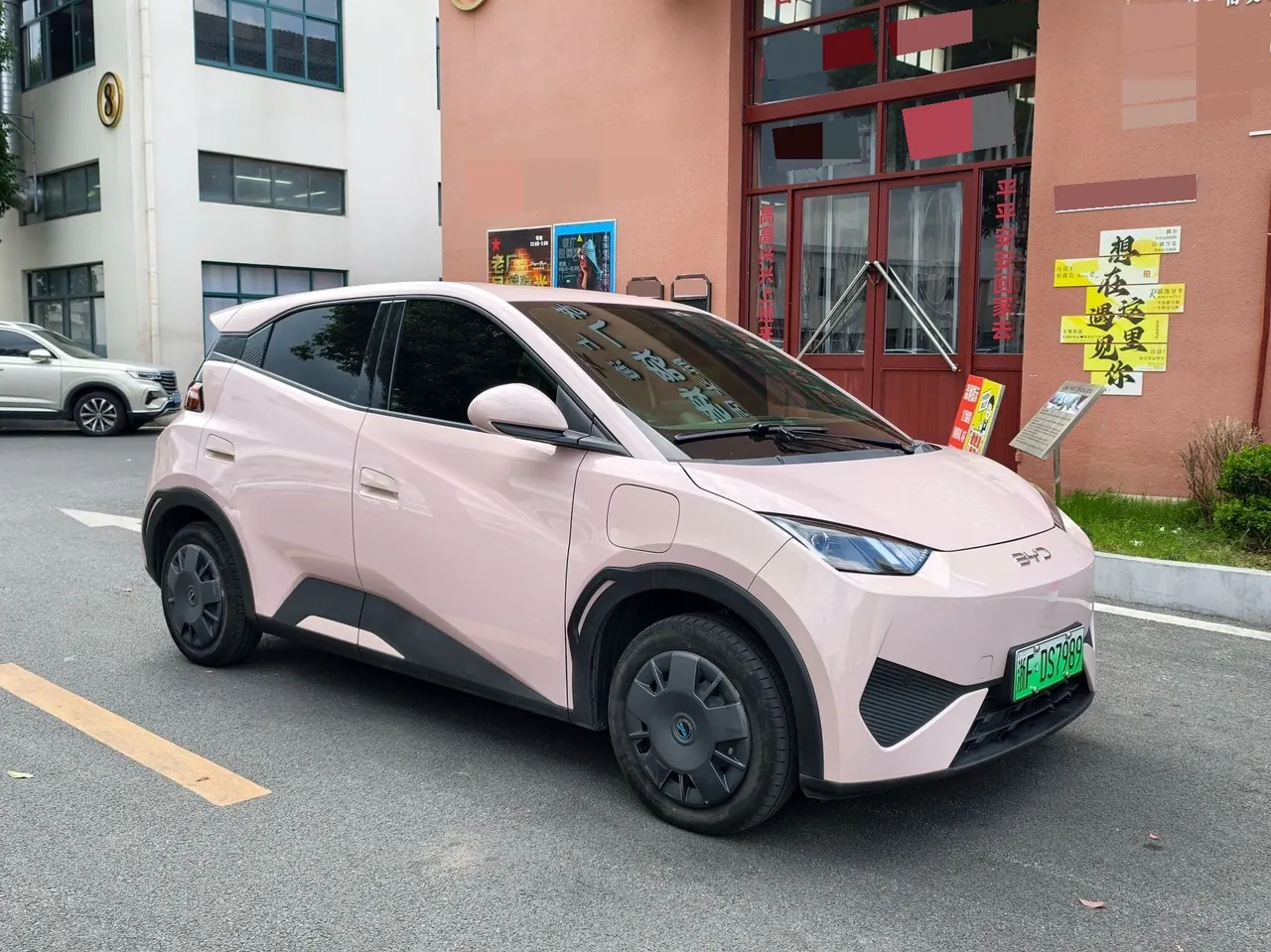 BYD 2025 Seagull Smart Driving Edition 305km Vital Edition Automatic Gear 3