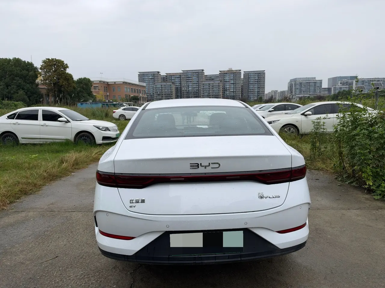 BYD 2025 Qin PLUS EV Intelligent Driving Version 510km Entry-Level Automatic Transmission 7