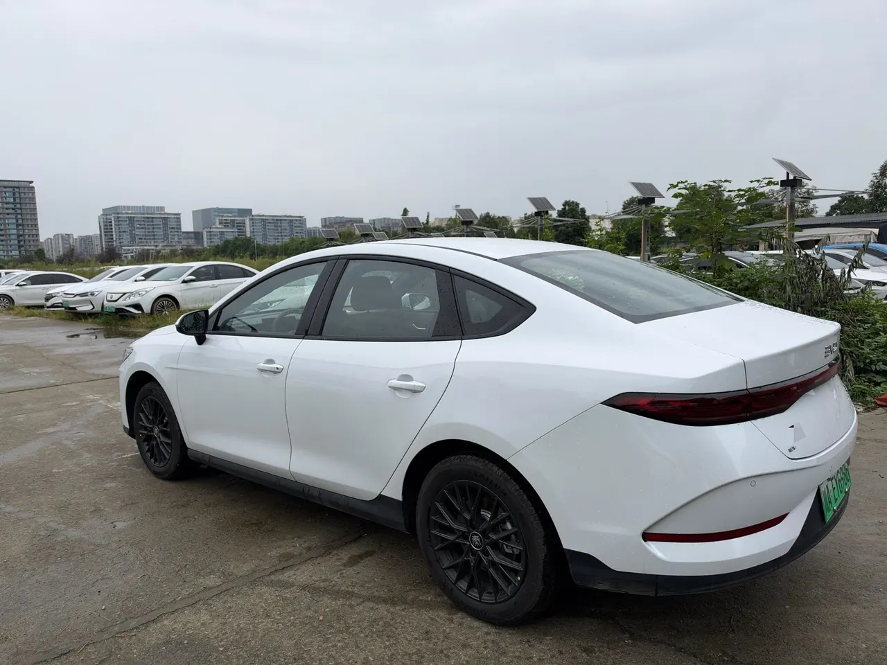 BYD 2025 Qin PLUS EV Intelligent Driving Version 510km Entry-Level Automatic Transmission 8