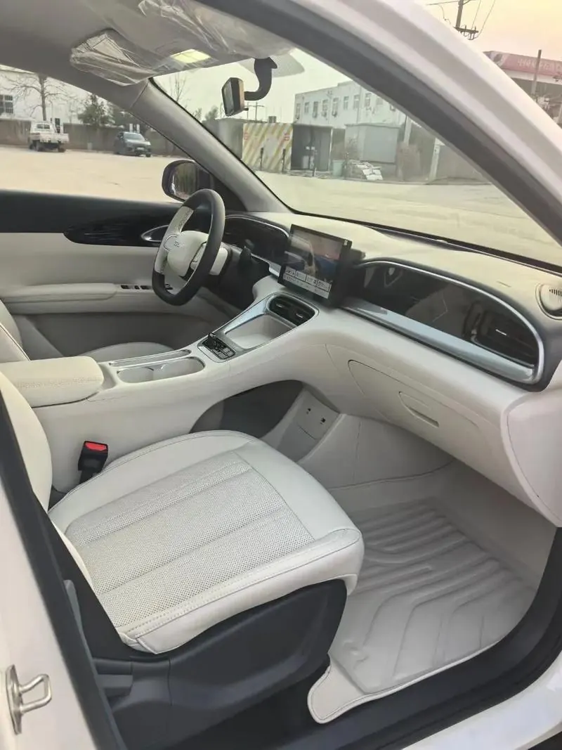 Geely 2025 Star Wish 310km Youth Edition Automatic Gear 10