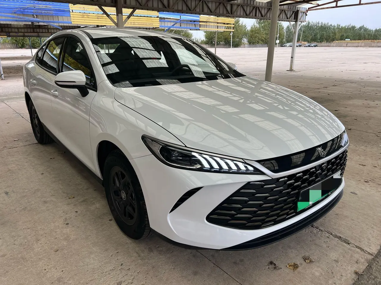 BYD 2026 Qin PLUS DM-i 1.5 CVT 128km Entry-Level Automatic 3