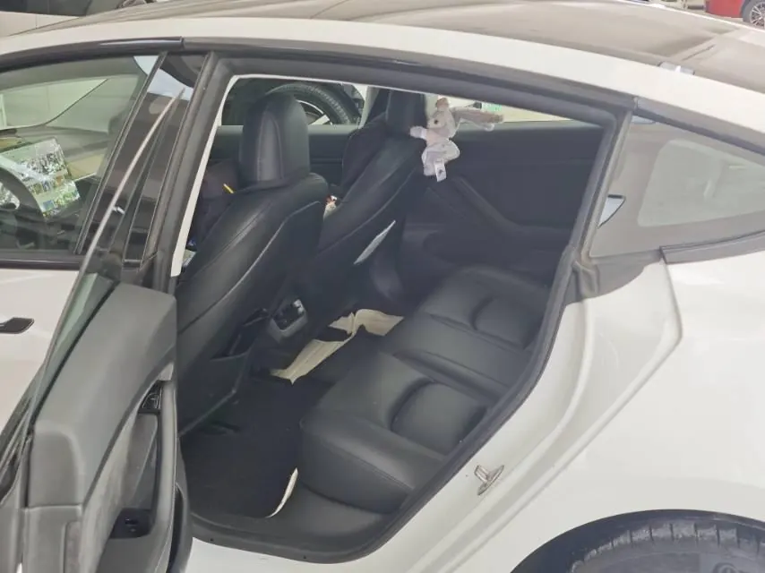 Tesla 2020 Model 3 Standard Endurance Rear Drive Upgraded Automatic Gear 3