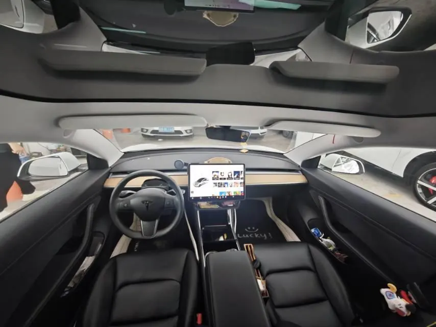 Tesla 2020 Model 3 Standard Endurance Rear Drive Upgraded Automatic Gear 4