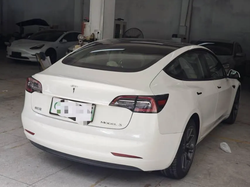 Tesla 2020 Model 3 Standard Endurance Rear Drive Upgraded Automatic Gear 5